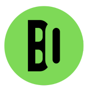 Bear Out Store logo